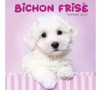 Bichon Frisé Puppies Mini Calendar 2027, Wall Calendars, Gift