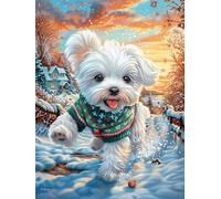 Bichon Frise Puppy in A Knit Sweater 300 Piece Premium Jigsaw Puzzle Science Fiction Magical Dream Adult Jigsaws Brain Training Hobby Home Decor Winter Gift Unique Shaped Recycled Cardboard 300 PCS