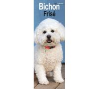 Bichon Frise Slim