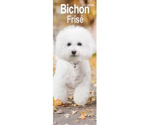 Bichon Frise Slim 2025 Slimline Wall Calendar | Dog Breed Calendar