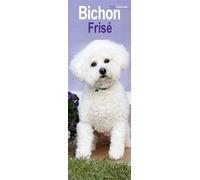 Bichon Frise Slim 2026 Calendar | Slimline Wall Calendar | Dog Breed Gift | Plastic Free Packaging | by Avonside Publishing