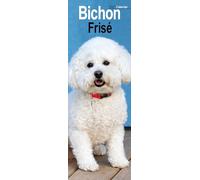 Bichon Frise Slim 2027 Calendar | Slimline Wall Calendar | Dog Breed Gift | Plastic Free Packaging | by Avonside Publishing