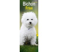 Bichon Frise Slim Calendar 2024 | Dog Breed Slimline Calendar - 12 Month
