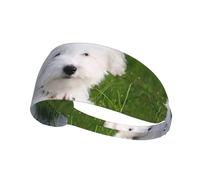 Bichon on the grass Elastic Exercise Headband for Sports & Workouts