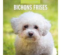 Bichons Frises - 2026 Square Wall Calendar - by Red Robin Publishing