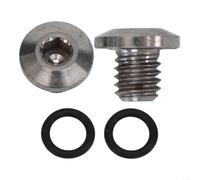 Bicycle Bleed Screw Kit 2pcs M5x5mm with O Ring for Integral Brake Lever To Maintain Brake Oil System Integrity (silver)