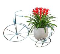 Bicycle Planter, Vintage Metal Tricycle Plant Stand, Rustproof Outdoor Flower Stand, 20.1x10.2x14.2" Tricycle Planter for Outdoor Home Garden Patio Bicycle Plant