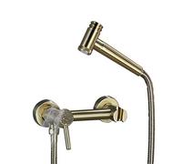 Bidet Spray Set, Brass Brushed Gold Bidet hot and Cold Water Set Toilet Spray Gun Ass Flusher Nozzle Set, Hand Blender Valve Jet Pres Set Shower Head with Pressure,B (Gold，Golden-B