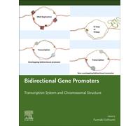 Bidirectional Gene Promoters : Transcription system and chromosomal structure