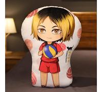 BIEGMAI Haikyuu Plush Throw Pillow-Haikyuu Plush Toys Doll Hinata Shoyo Oikawa Tooru Soft Pillow Toy for Sofa 30cm (Type 4-30cm)