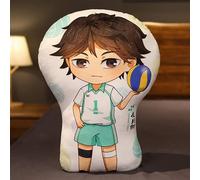 BIEGMAI Haikyuu Plush Throw Pillow-Haikyuu Plush Toys Doll Hinata Shoyo Oikawa Tooru Soft Pillow Toy for Sofa 30cm (Type 1-45cm)