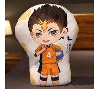 BIEGMAI Haikyuu Plush Throw Pillow-Haikyuu Plush Toys Doll Hinata Shoyo Oikawa Tooru Soft Pillow Toy for Sofa 30cm (Type 7-45cm)