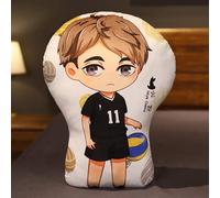 BIEGMAI Haikyuu Plush Throw Pillow-Haikyuu Plush Toys Doll Hinata Shoyo Oikawa Tooru Soft Pillow Toy for Sofa 30cm (Type 3-30cm)