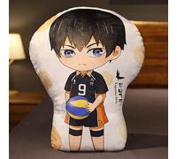 BIEGMAI Haikyuu Plush Throw Pillow-Haikyuu Plush Toys Doll Hinata Shoyo Oikawa Tooru Soft Pillow Toy for Sofa 30cm (Type 8-30cm)