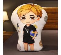 BIEGMAI Haikyuu Plush Throw Pillow-Haikyuu Plush Toys Doll Hinata Shoyo Oikawa Tooru Soft Pillow Toy for Sofa 30cm (Type 2-45cm)