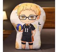 BIEGMAI Haikyuu Plush Throw Pillow-Haikyuu Plush Toys Doll Hinata Shoyo Oikawa Tooru Soft Pillow Toy for Sofa 30cm (Type 5-30cm)