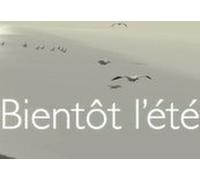 Bientôt l'été Steam CD Key