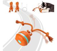 BIESVOY Interactive Dog Ball Toy,Smart Interactive Dog Toys for Boredom, Moving Dogs Toy Automatic Active Rolling Ball with Bird Sounds & Chew Ropes for Medium/Large Dogs