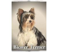 Biewer Terrier: Dog breed overview and guide