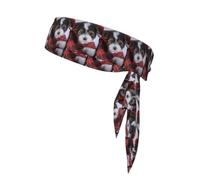 Biewer Terrier Puppies, Head Tie, Sports Headband Tie Back, Multi Sweatband for Men Women