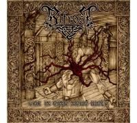 Bifrost - Tor In Eine Neue Welt