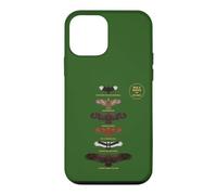 Big 6 Birds Kruger National Park African Wildlife Case for iPhone 12 mini