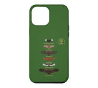 Big 6 Birds Kruger National Park African Wildlife Case for iPhone 12 Pro Max