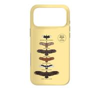 Big 6 Birds Kruger National Park African Wildlife Case for iPhone 17 Pro Max