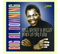 Big Al Downing - Still Rockin' & Rollin' Down On The Farm