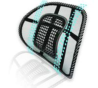 Big Ant Mesh Back Support for Office Chair, Ergonomic Lumbar Support Cushion for Car Seat, Back Rest Support with Air Flow Mesh Elastic Strap, Chair Back Support, Back Pressure Relief Chair Cushion