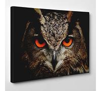 Big Art Shop - Owl - Framed Canvas Art Print - Animal Night Bird of Prey, 16x12 inches / 41x30x1.8 cm