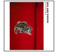 Big Ass Truck - Who Let You In Here? [VINYL]