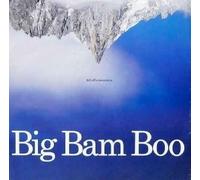 Big Bam Boo - Fell Off A Mountain - Big Bam Boo 12"