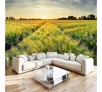Big Barley Field Photo Wallpaper 138"x101" Rural Scenery 3D Effect Panoramic Wall Murals Non-Woven Wall Paper for Bedroom Living Room TV Backdrop,Easy to Install W-1229