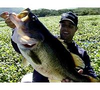 Big Bass Below the Border- Mazatlan