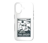 Big Bend National Park Case for iPhone 17