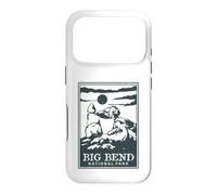 Big Bend National Park Case for iPhone 17 Pro