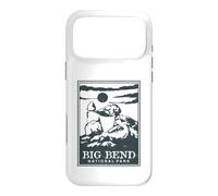 Big Bend National Park Case for iPhone 17 Pro Max