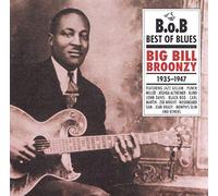 Big Bill Broonzy - Big Bill Broonzy 1935-1947