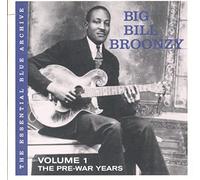 Big Bill Broonzy - The Essential Blue Archive: Vol.1 - The Pre War Years