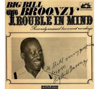 Big Bill Broonzy - Trouble in Mind