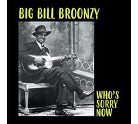 Big Bill Broonzy - Who's Sorry Now