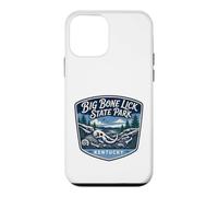 Big Bone Lick State Park Kentucky Fossil History Nature Case for iPhone 12 mini