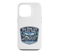 Big Bone Lick State Park Kentucky Fossil History Nature Case for iPhone 13 Pro