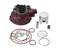 Big Bore Cylinder Kit 49mm 90cc Big Bore Cylinder Kit Fit For Motorhispania RX RYZ SM Pro Racing Superracing 50 2T AM6