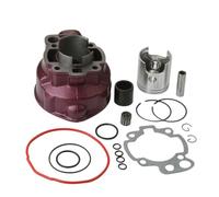 Big Bore Cylinder Kit Motorcycle AM6 49mm 90cc Big Bore Cylinder Kit Fit For AF1 Classic MX SM Pegaso RS Extrema Replica Tuono 50cc AM4 AM5 2T Cylinder Piston Crankshaft Set