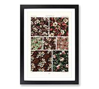 Big Box Art 19th Century Floral Patterns by Albert Racinet Framed Wall Art Picture Print Ready to Hang, Black A2 (62 x 45 cm)