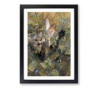 Big Box Art A Cat and A Chaffinch Bird by Bruno Liljefors Framed Wall Art Picture Print Ready to Hang, Black A2 (62 x 45 cm)