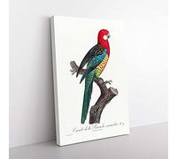 Big Box Art A Eastern Rosella Parrot by F. Levaillant Canvas Wall Art Print Ready to Hang Picture, 76 x 50 cm (30 x 20 Inch), White, Black, Grey, Red