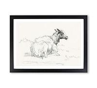 Big Box Art A Lying Sheep by Jean Bernard Framed Wall Art Picture Print Ready to Hang, Black A2 (62 x 45 cm)